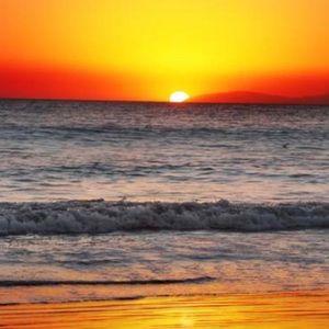 Meet your Posher, Elif